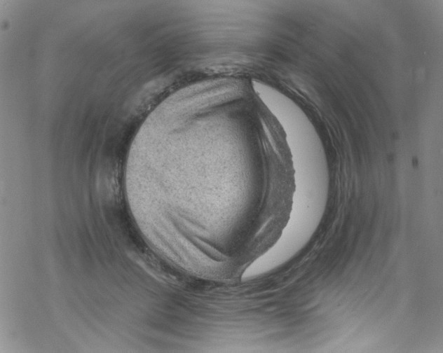 X0000067530408200605051925