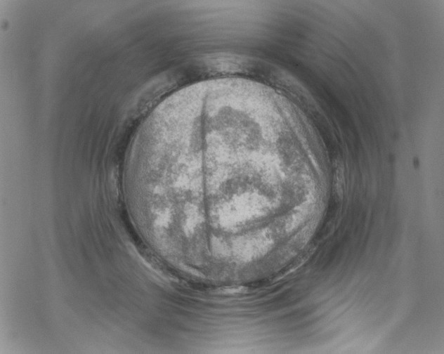 X0000067530410200605051925