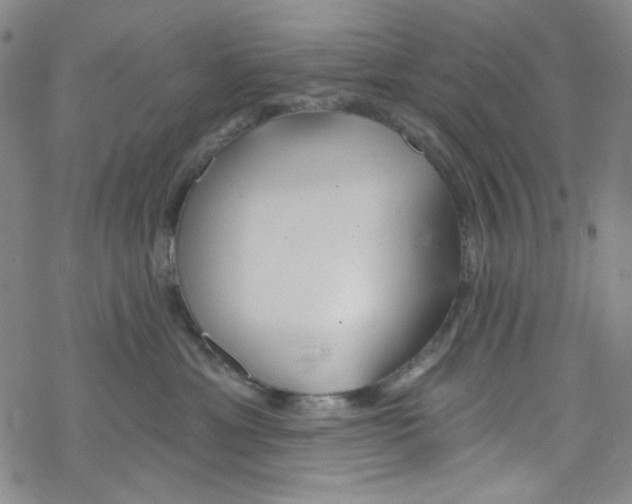 X0000067530429200605051924