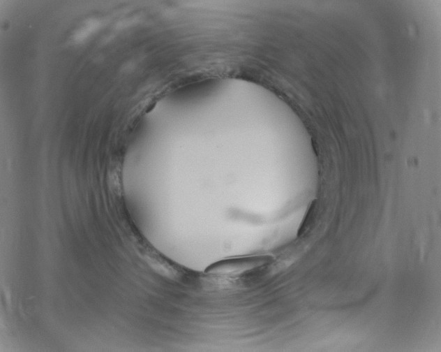 X0000067530432200605051924