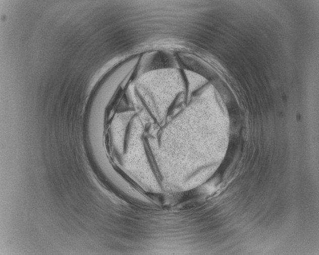 X0000067530438200605051924