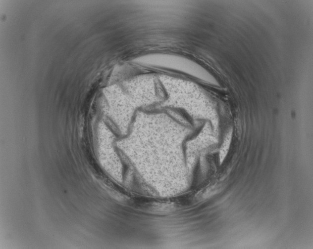 X0000067530458200605051924