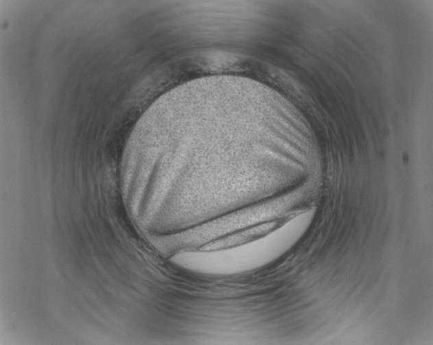 X0000067530461200605051924