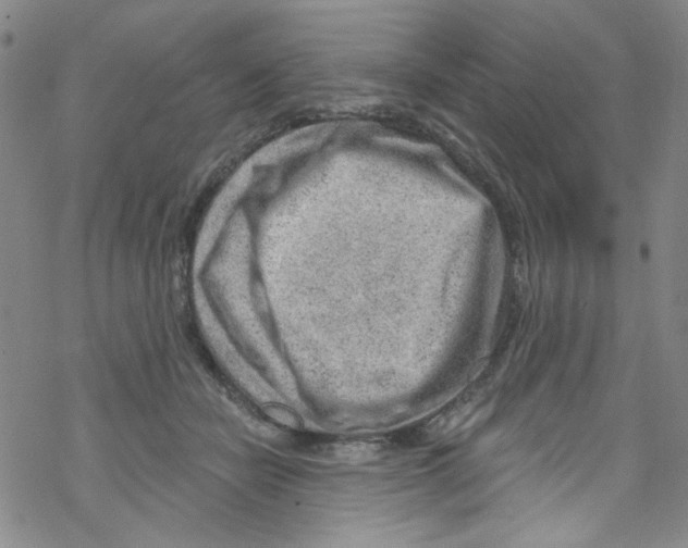 X0000067530462200605051924