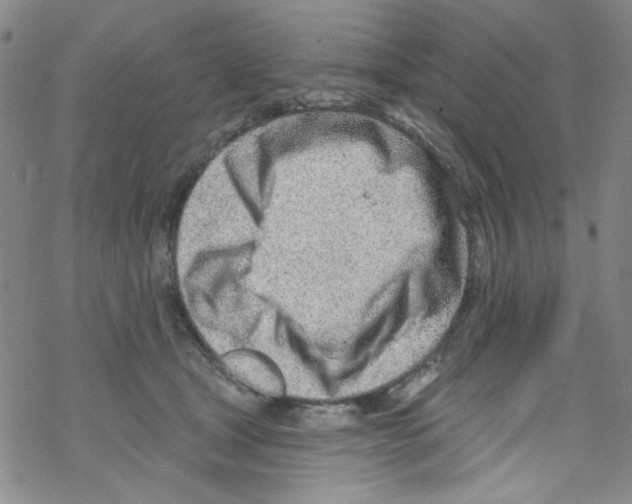 X0000067530465200605051924