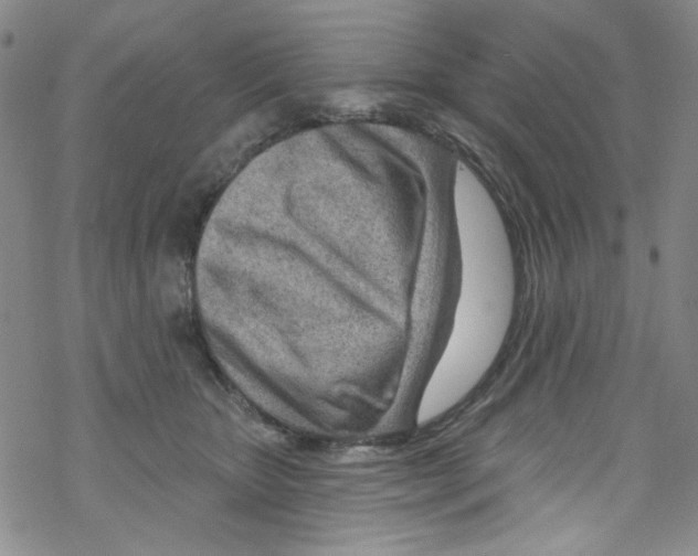 X0000067530467200605051924