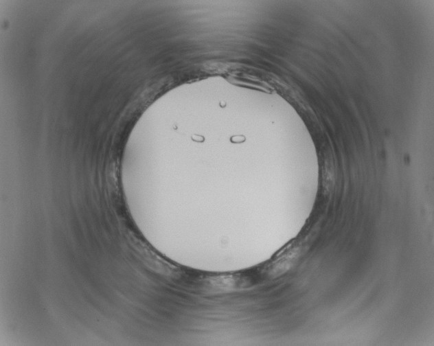 X0000067530473200605051924