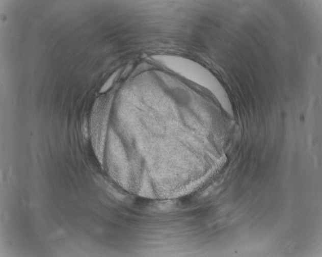 X0000067530479200605051924