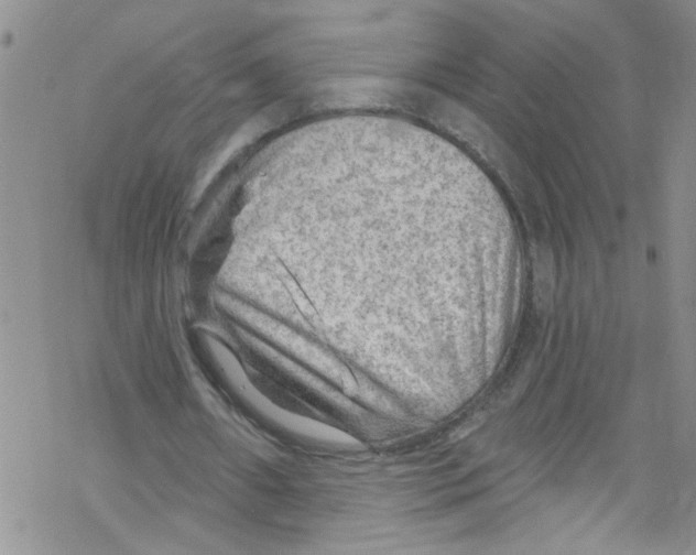 X0000067530482200605051924