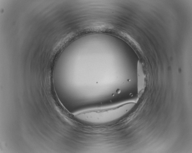 X0000067530493200605051923