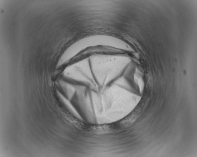 X0000067530517200605051923
