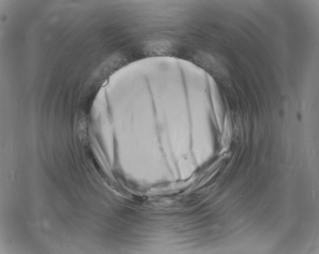 X0000067530526200605051923