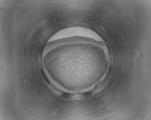 X0000067530527200605051923