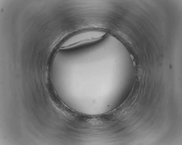 X0000067530544200605051922