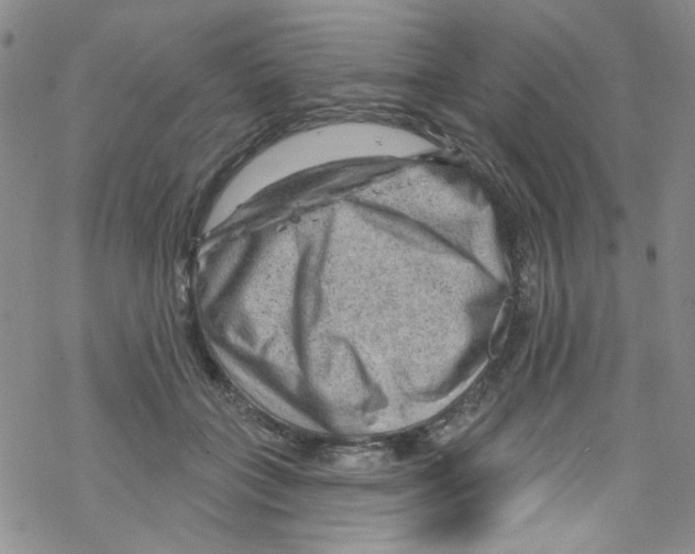 X0000067530555200605051922