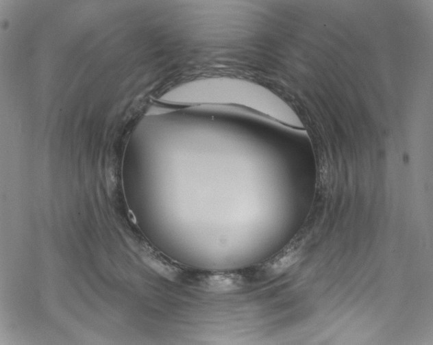 X0000067530566200605051923