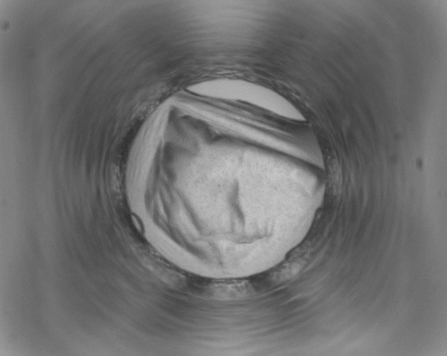 X0000067530571200605051923