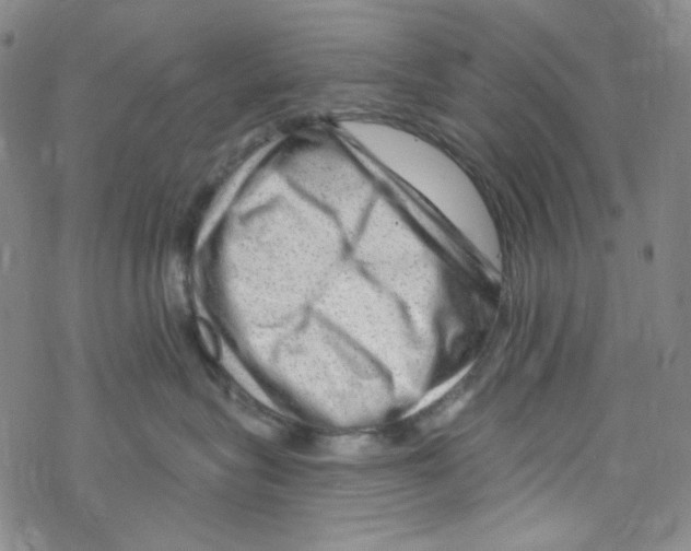 X0000067530575200605051923