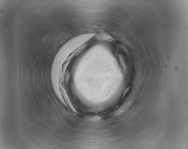 X0000067530576200605051923