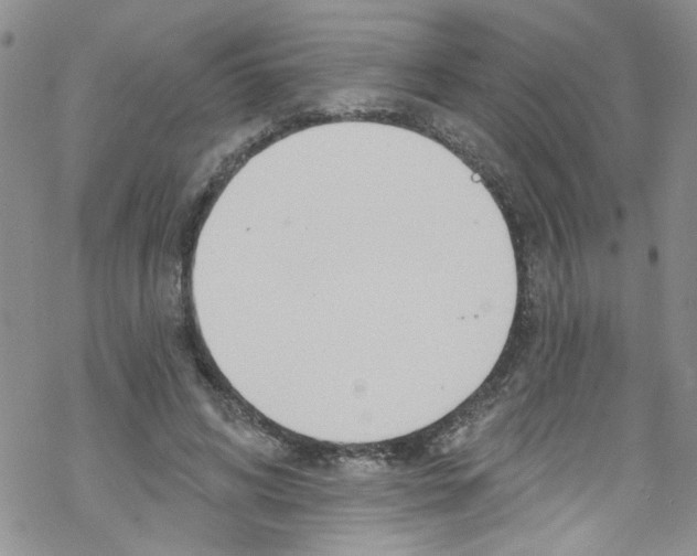 X0000067530592200605051922