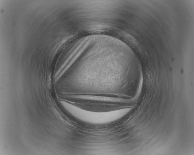 X0000067530596200605051922