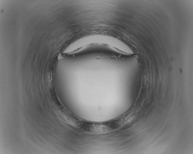 X0000067530605200605051922