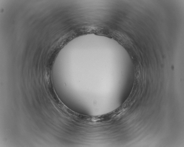 X0000067530607200605051921