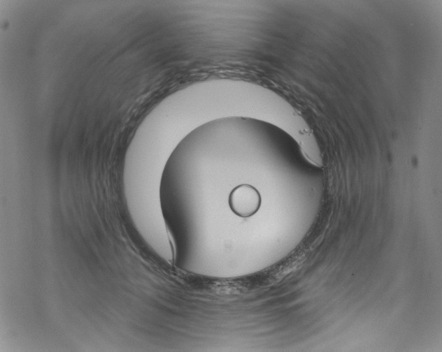 X0000067530608200605051921