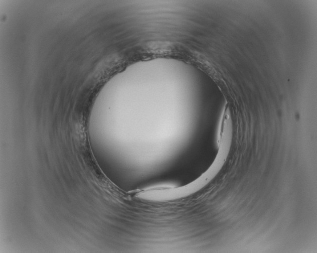 X0000067530609200605051921