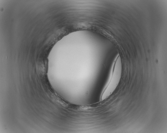 X0000067530617200605051921