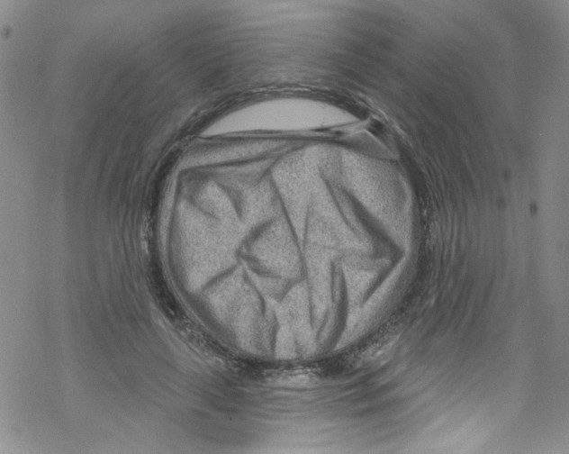 X0000067530643200605051921