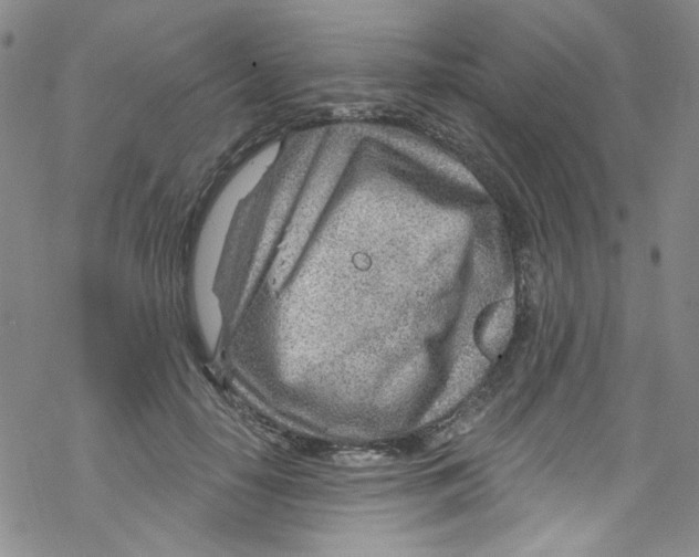 X0000067530650200605051921