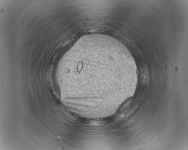 X0000067530657200605051921