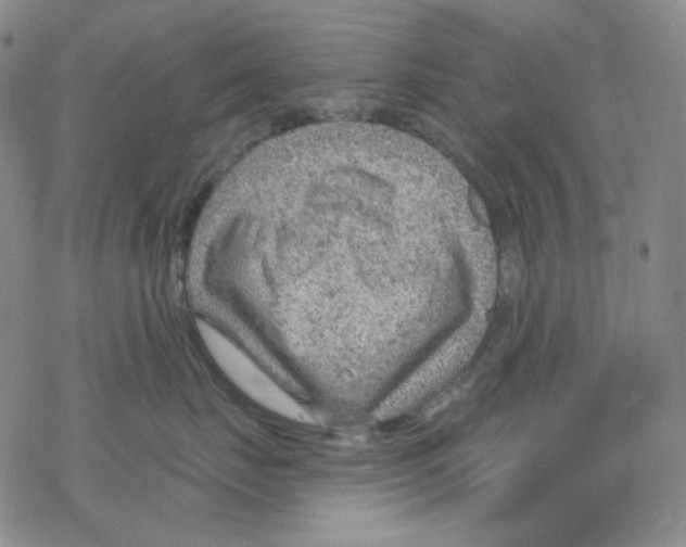 X0000067530671200605051921