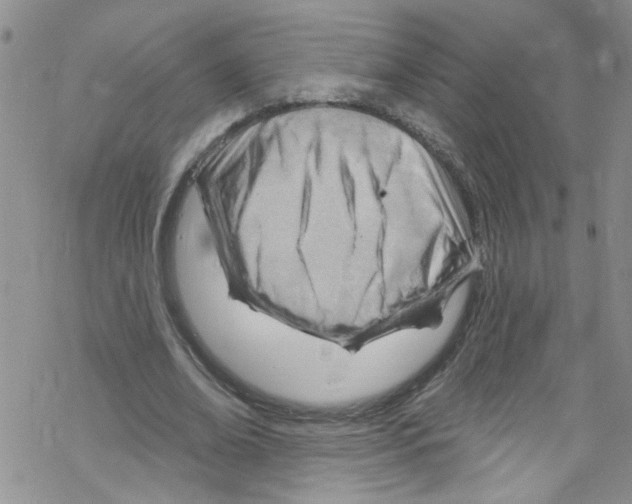 X0000067530678200605051920