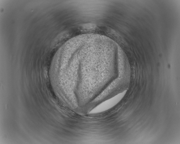 X0000067530711200605051920
