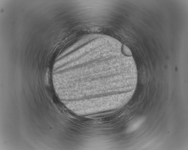 X0000067530747200605051919