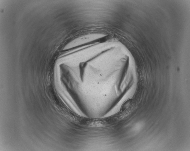 X0000067530751200605051919