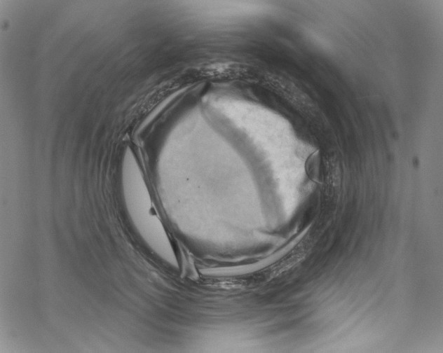 X0000067530754200605051919