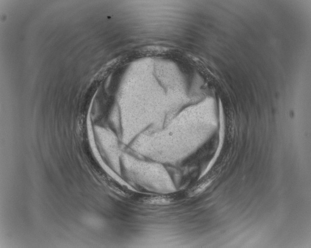 X0000067530759200605051919