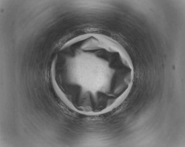 X0000067530763200605051920