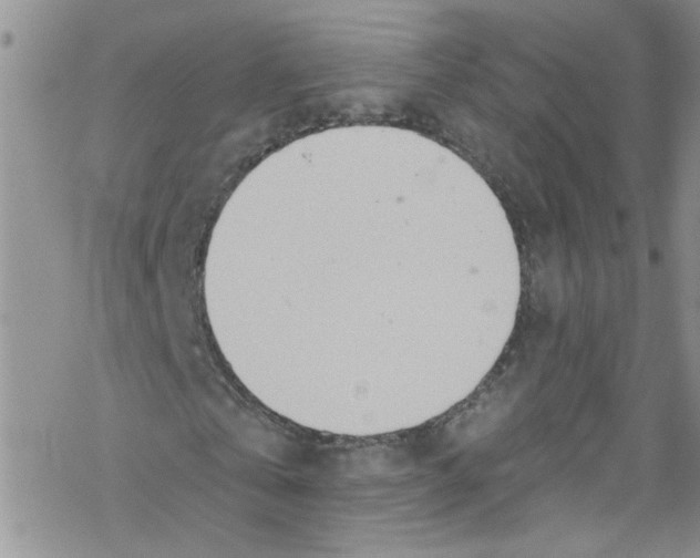 X0000067530769200605051919