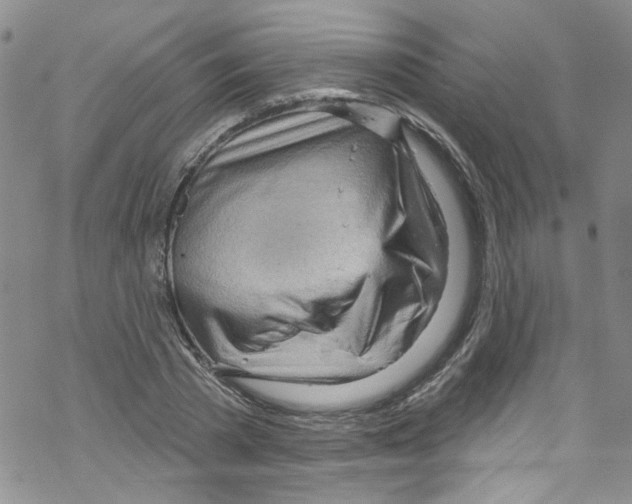 X0000067530785200605051919