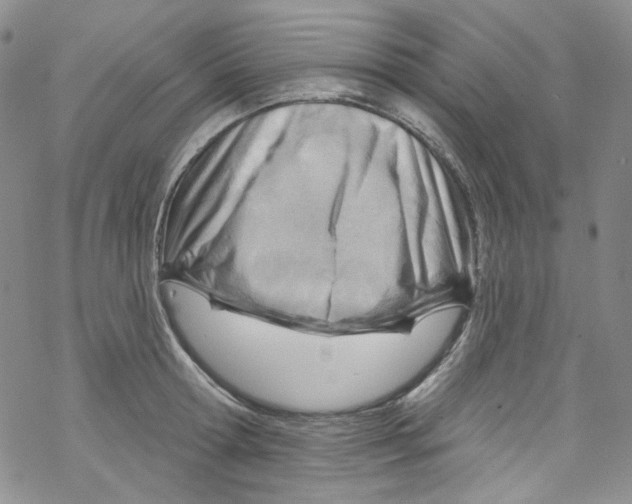 X0000067530802200605051918