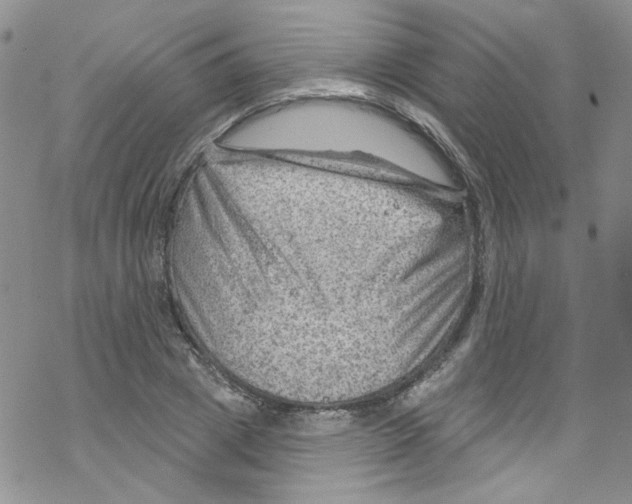 X0000067530833200605051918