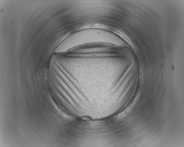 X0000067530849200605051918