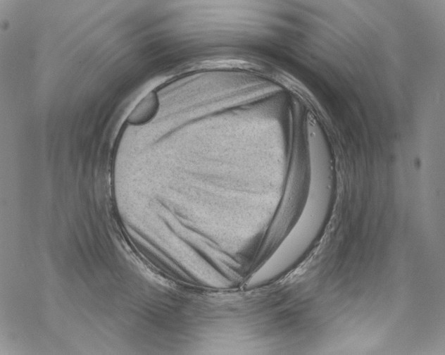 X0000067530852200605051918