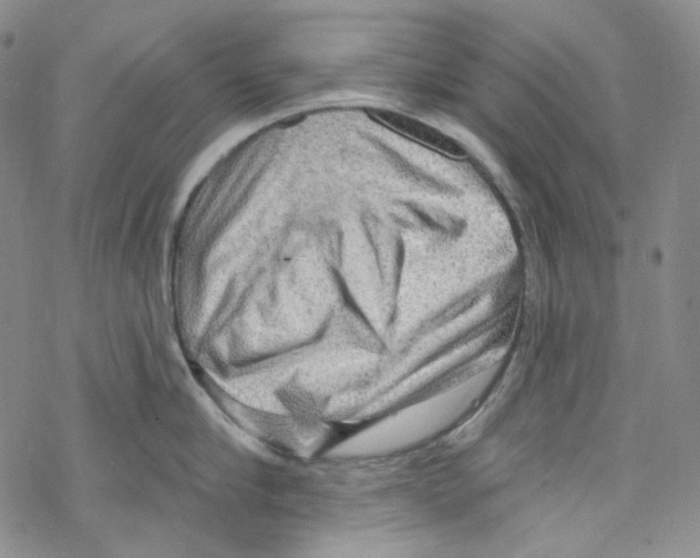 X0000067530910200605051916