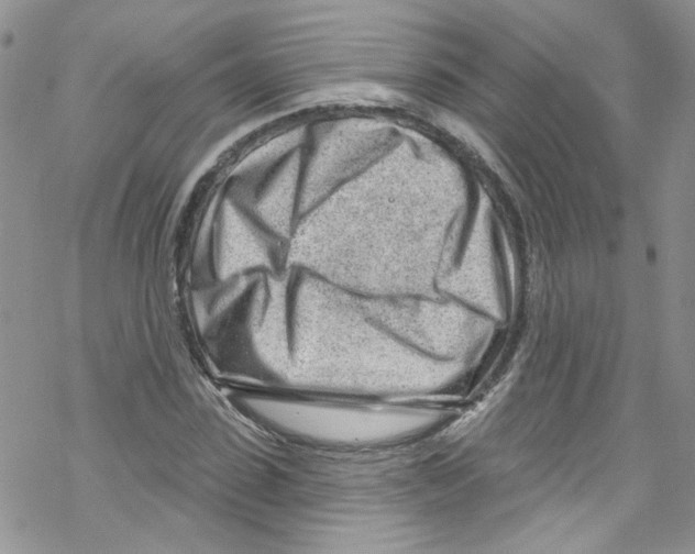 X0000067530923200605051916