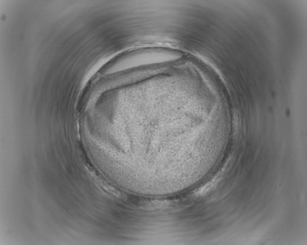 X0000067530925200605051916